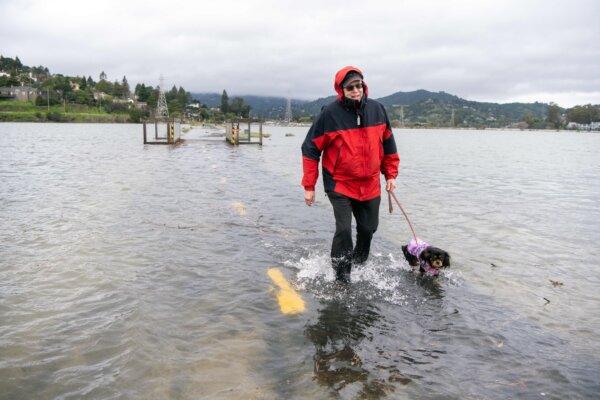 A man walks with his dog along a flooded bike path during the "King Tide" in Mill Valley, Calif., on Jan. 3, 2022. (Josh Edelson/AFP via Getty Images)