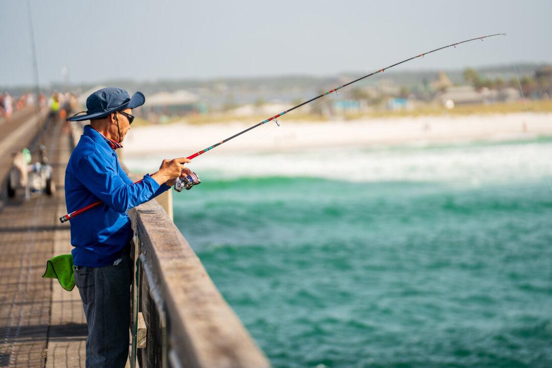 The shore is a popular spot for fishing, spotting wildlife, and water sports like kite surfing. (Courtesy of Santa Rosa County Tourist Development Office; Carlos Carreno/Moment/Getty Images; Courtesy of Santa Rosa County Tourist Development Office)