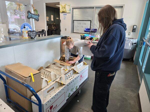 One hundred rabbits were rescued from a home in Granada Hills, Calif., on Feb. 20, 2024. (Courtesy of Bunny World Foundation)