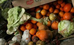 Food Waste Diversion Efforts Not as Effective as Hoped, UCSD Study Finds