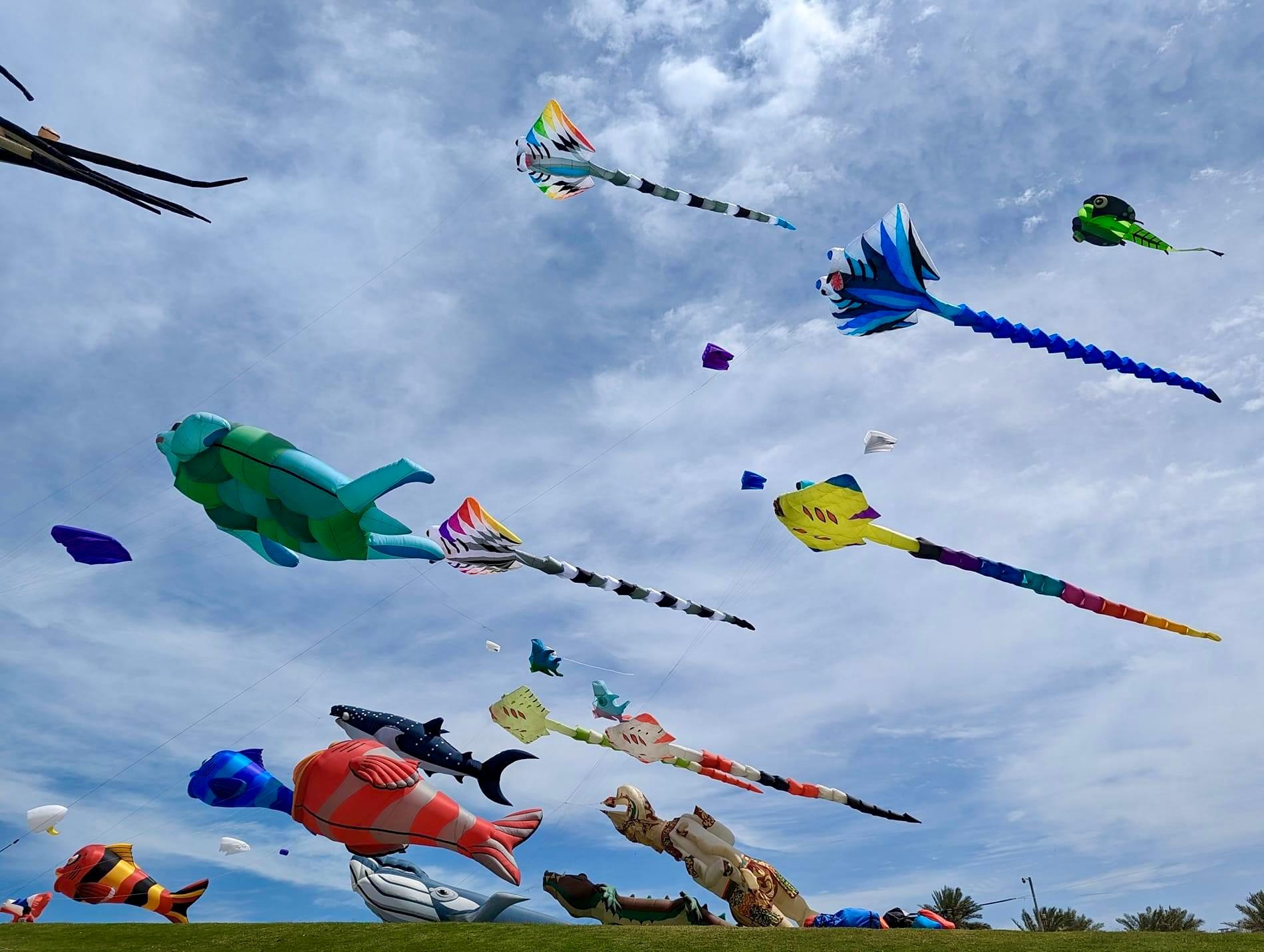 California Resident Brings Joy to the Community and Beyond With Giant Colorful Kites