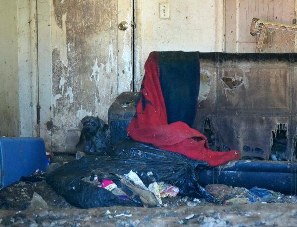 A home where dogs were hiding underneath furniture, the walls, and the floor boards, some of 86 dogs that were hoarded in a house in Ceres, Calif. on March 19, 2024. (Alondra Peralta/Stanislaus Animal Services Agency via AP)