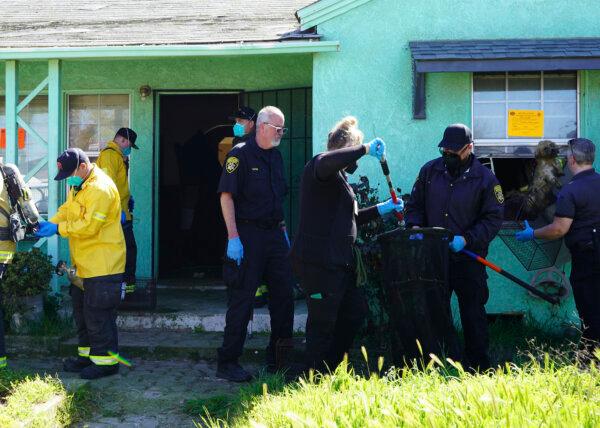 The Stanislaus Animal Services Agency works alongside Modesto Fire Department, Ceres Police Department, and Adult and Child Protective Services at the scene of a home where 86 dogs were rescued and a child and older woman were removed in Ceres, Calif. on March 19, 2024. (Alondra Peralta/Stanislaus Animal Services Agency via AP)