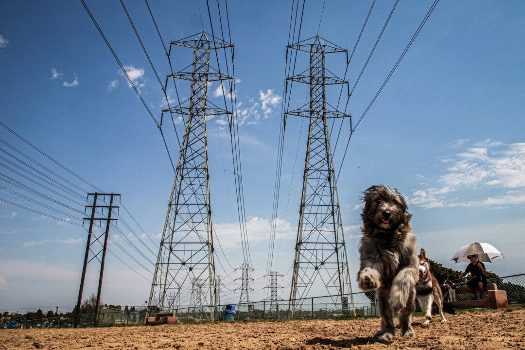 A man sits in the shade of his umbrella while dogs play in the park under high tension power lines in Redondo Beach, Calif., on Aug. 16, 2020. California has ordered rolling power outages as a heat wave strains its electrical system. (Apu Gomes/AFP via Getty Images)