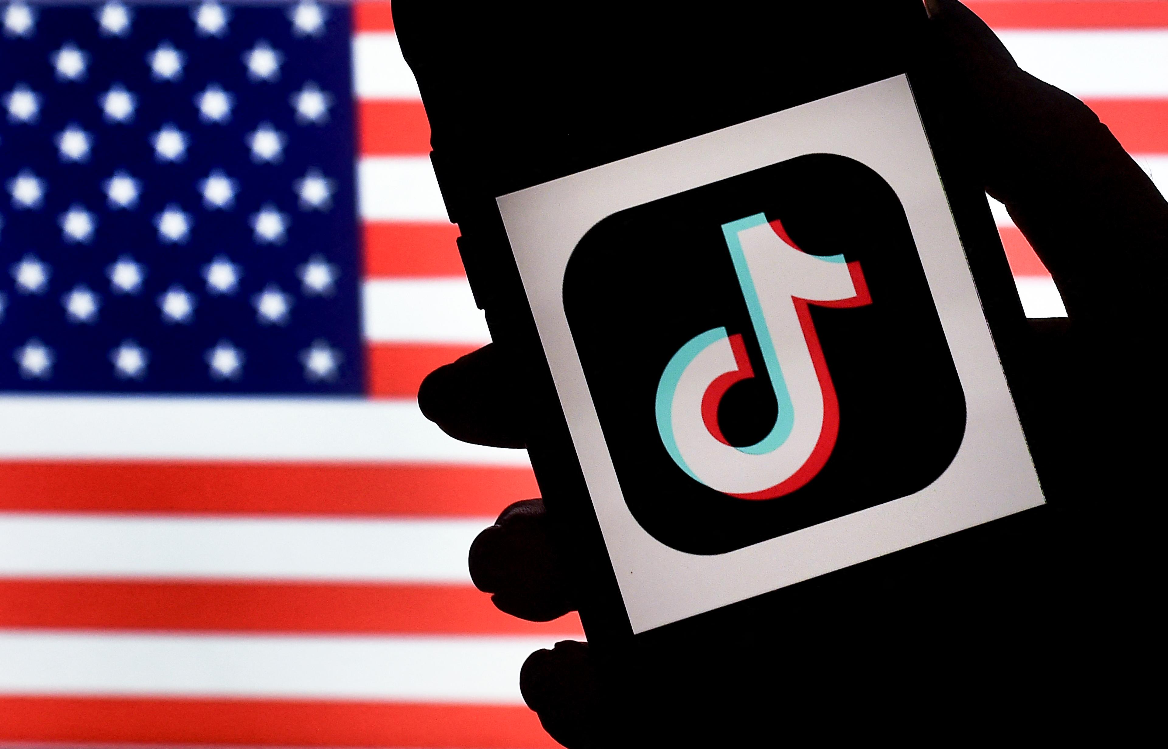 TikTok Sues US Government Over Forced Divestment Law