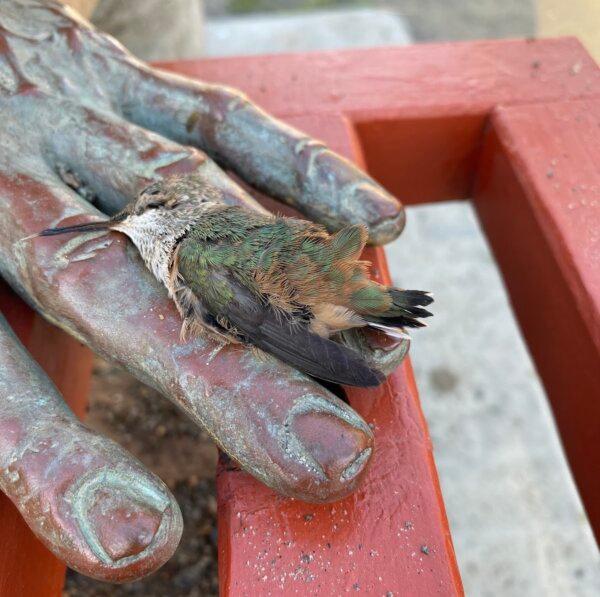 The San Luis Rey Mission de Francia in Oceanside, Calif. (Kimberly Hayek/The Epoch Times)