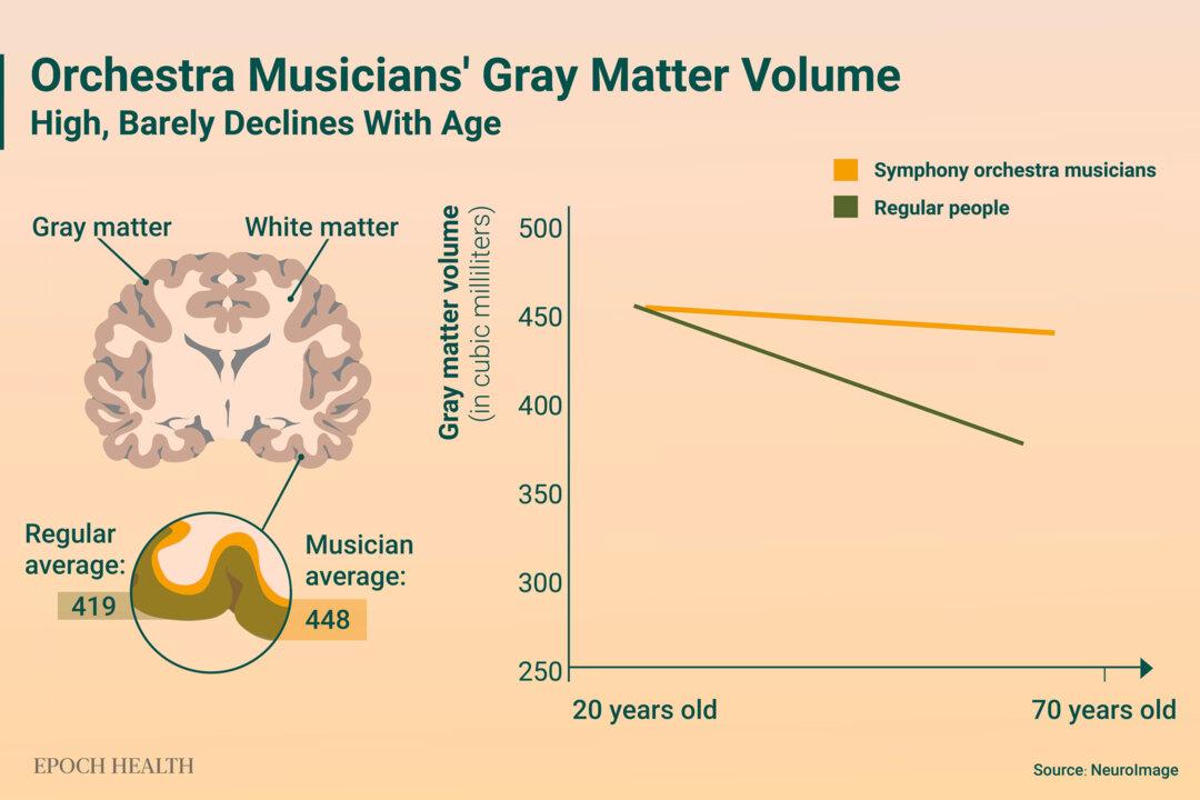 Symphony orchestra musicians have significantly higher gray matter volume than regular people, and their brain volume barely declines with age. (Illustration by The Epoch Times)