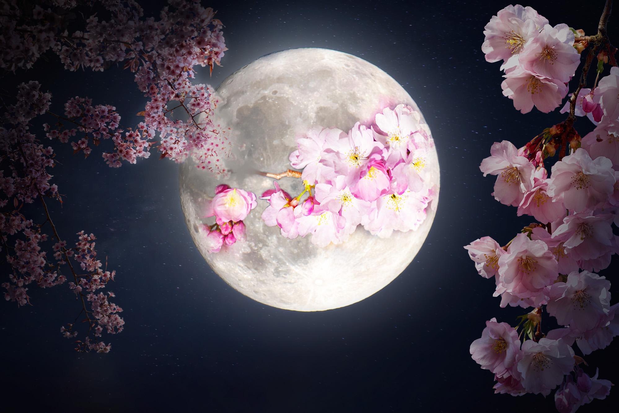 Full ‘Flower Moon’ in May to Shine in the Springtime Sky—Here’s How It Got Its Rosy Name