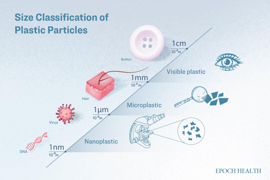 While microplastics can be as small as a hair, they remain visible. Nanoplastics, however, are impossible to see without a microscope. (Illustration by The Epoch Times, Shutterstock)