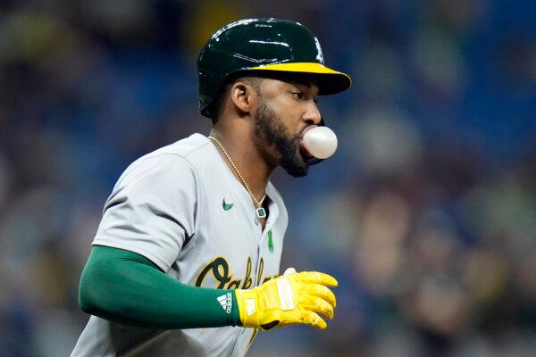 Miguel Andujar of the A's blows a bubble while rounding the bases after hitting a three-run home run against the Rays in St. Petersburg, Fla., on May 28, 2024. (Chris O'Meara/AP Photo)