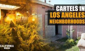 California Cities Facing Cartel Style Illegal Growers in Neighborhoods | David Welch | Jake Fisher