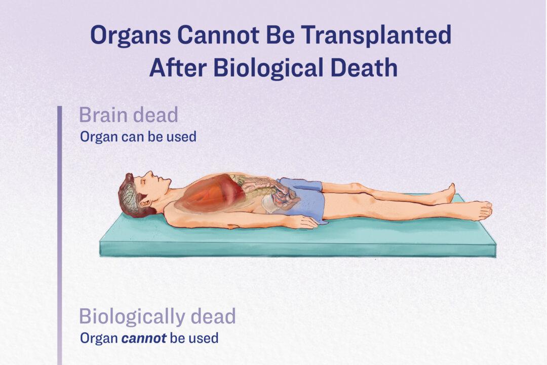 Once a person is biologically dead, their organs cannot be harvested for donation. (Illustration by The Epoch Times)