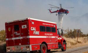 Firefighters Battle 1,300-Acre Wildfire in Southeastern San Diego County