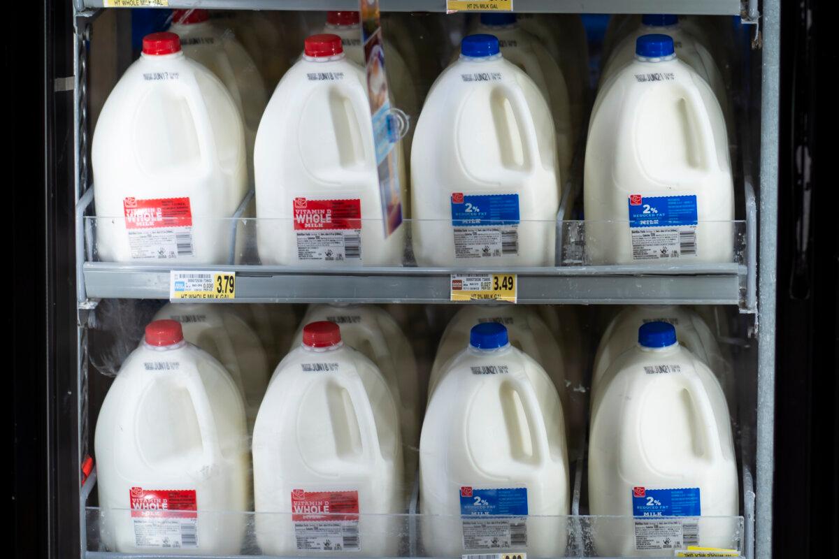 California’s bird flu outbreak would affect food production. Above, a photo of milk on display at a grocery store in Columbia, Md., on June 8, 2024. (Madalina Vasiliu/The Epoch Times)