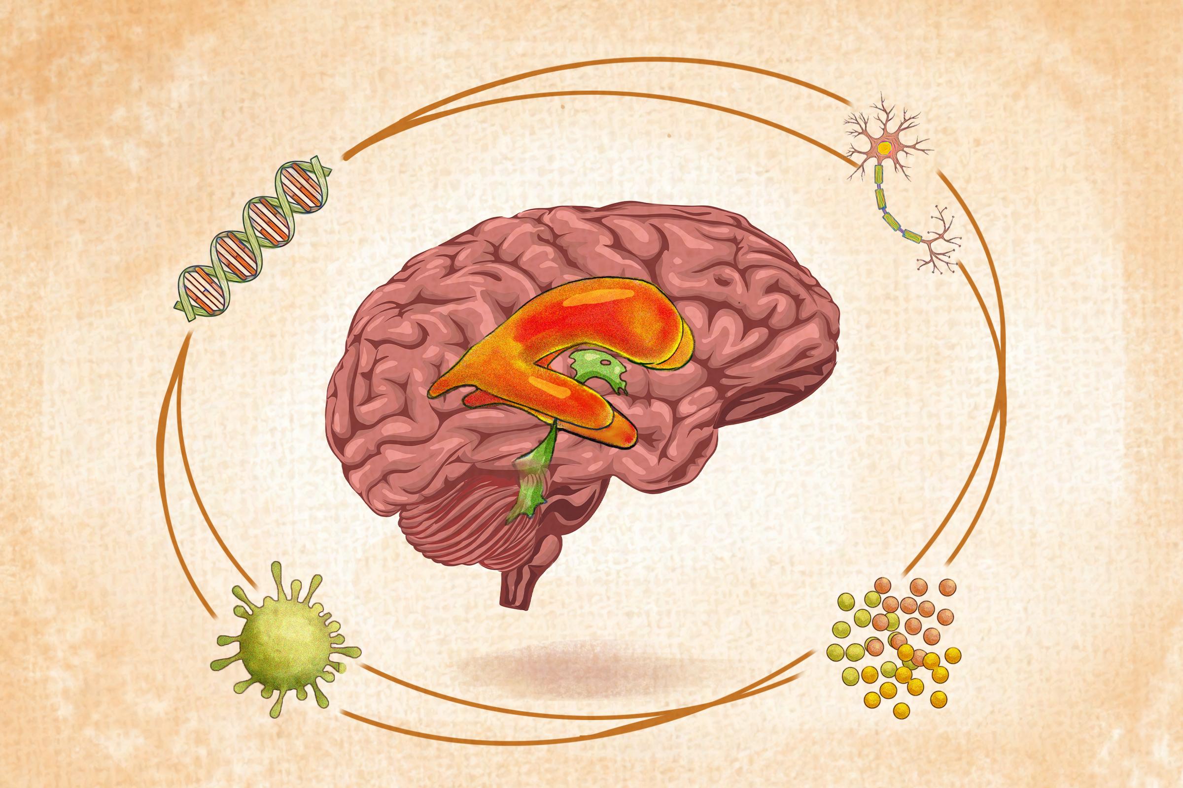 Schizophrenia: Symptoms, Causes, Treatments, and Natural Approaches