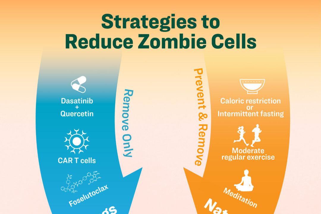 Drugs in development target removal of zombie cells, while natural strategies can prevent and remove zombie cells. (Illustrated by The Epoch Times, Shutterstock)