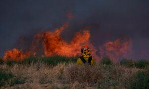Northern California Wildfire Grows to 24 Square Miles