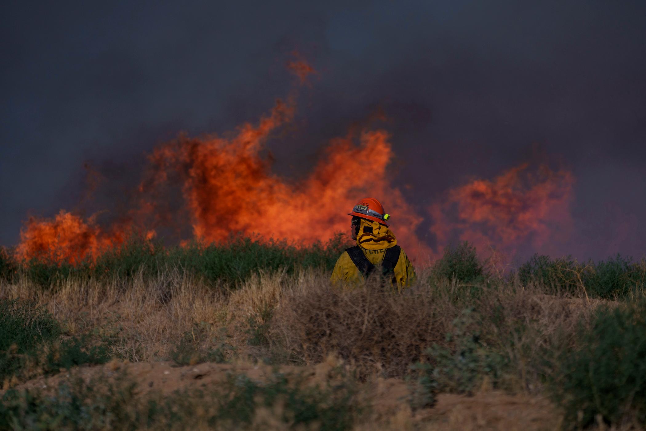 Northern California Wildfire Grows to 24 Square Miles