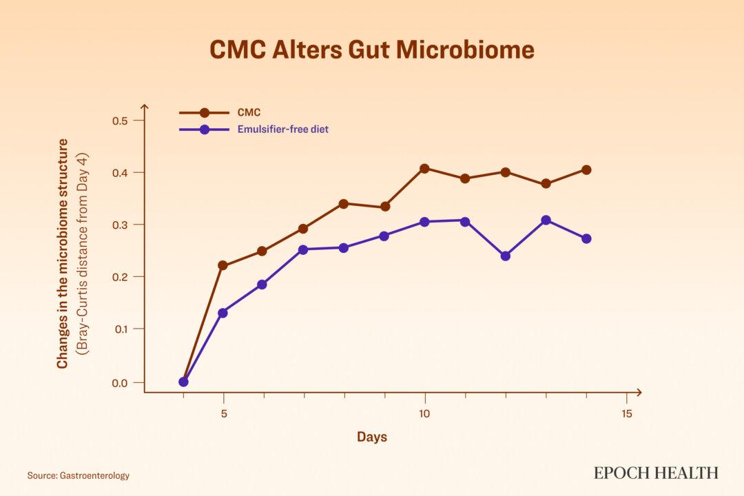 The emulsifier carboxymethylcellulose (CMC) alters the gut microbiome. (The Epoch Times)