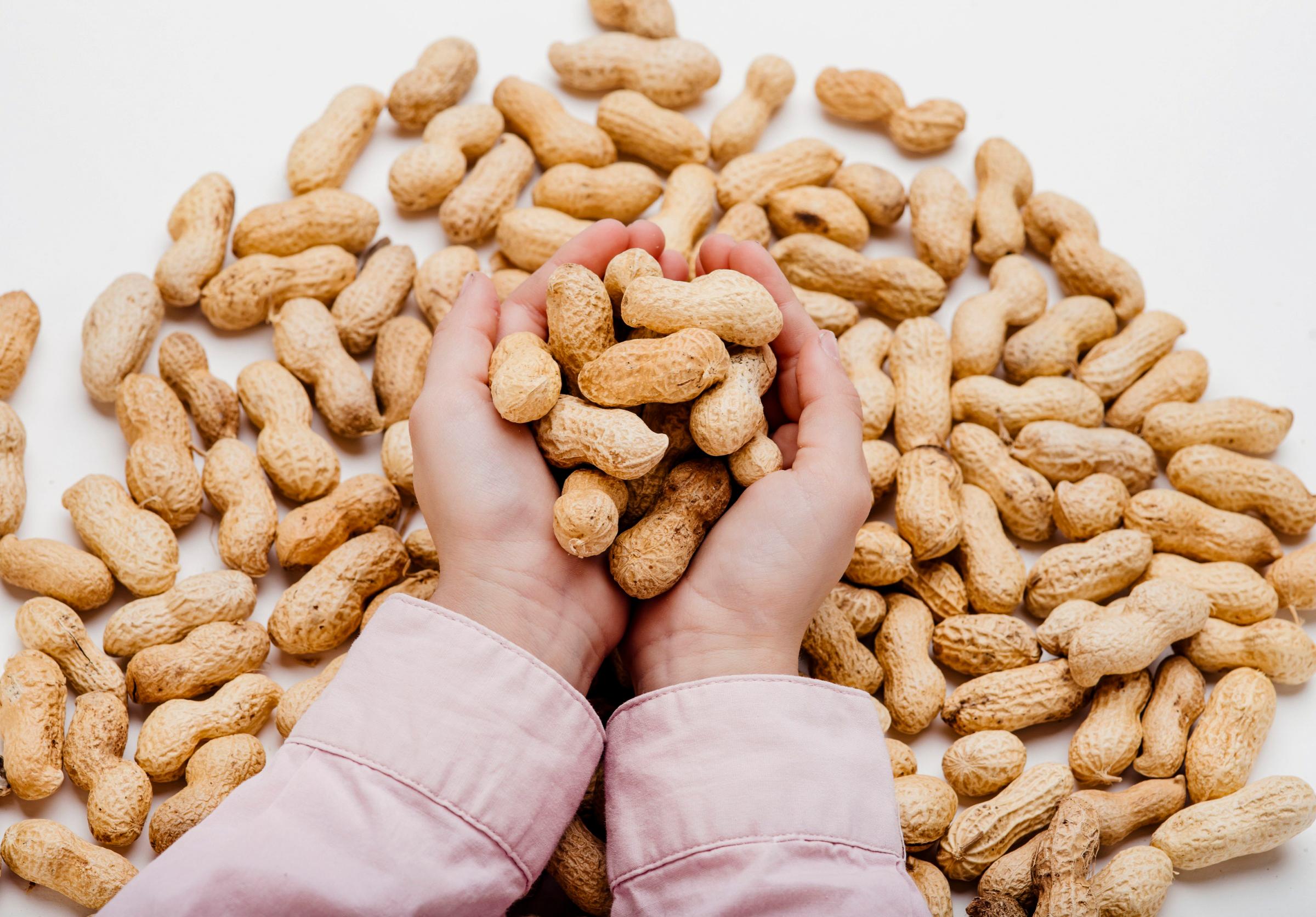 Peanuts for Babies? Early Introduction May Prevent Allergies Later: Study