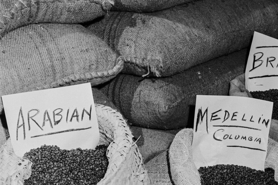 (Left) A man tosses coffee beans in the air to separate the beans from the twigs in Guatemala. (Right) A selection of coffee beans from Arabia, Medellin (Colombia), Brazil, Maracaibo (Venezuela), Guatemala, and Haiti, in 1950. (Pictorial Parade/Archive Photos/Getty Images, Archive Photos/Getty Images)