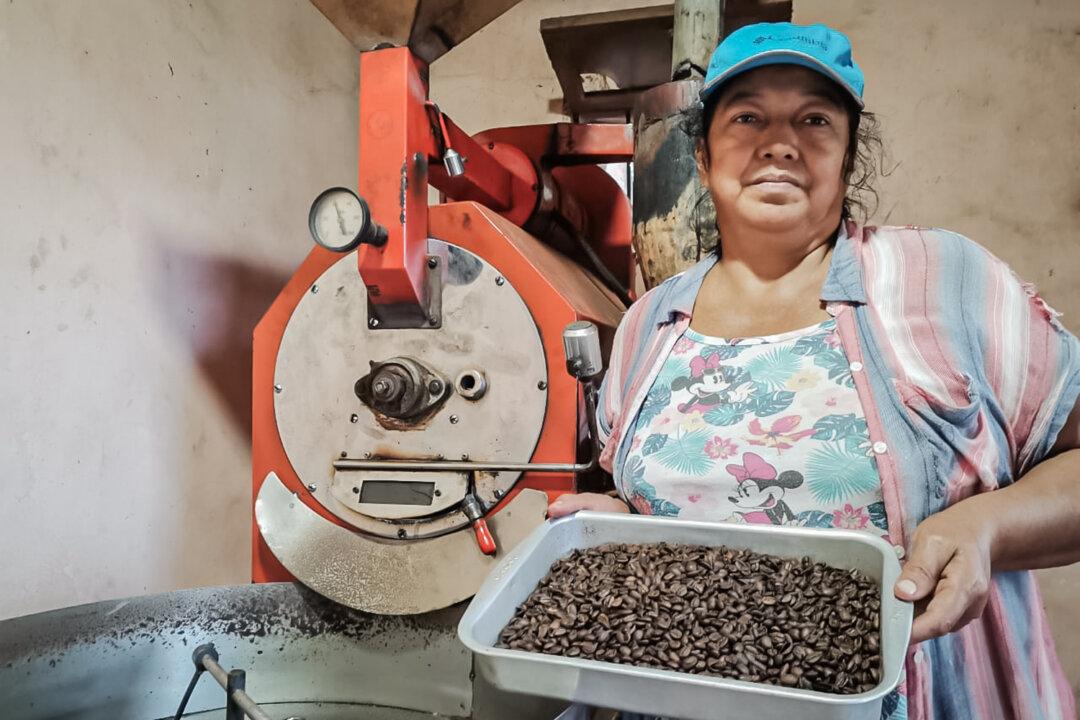 Carmen Alvarez holds a pan of roasted Castillo coffee beans in Buena Vista, Bolivia, on June 11, 2024. (Cesar Calani for The Epoch Times)