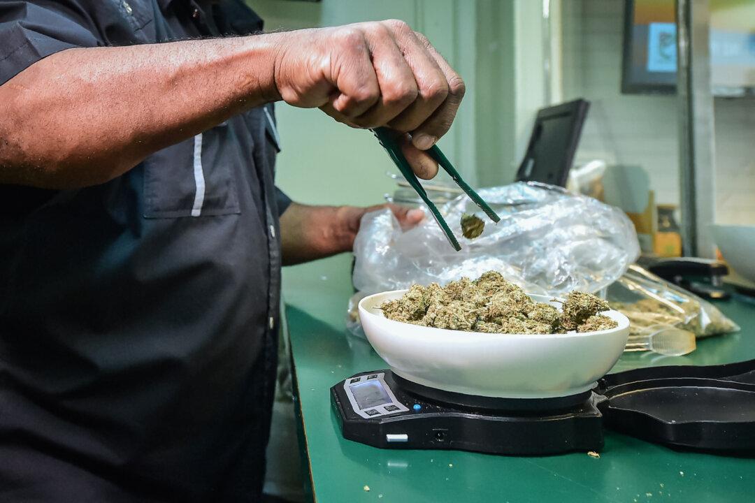 Marijuana is weighed on a scale at Virgil Grant's dispensary in Los Angeles on Feb. 8, 2018. In California, it is a felony to plant, cultivate, harvest, dry, or process more than six cannabis plants “to intentionally or with gross negligence cause substantial environmental harm to surface or groundwater,” according to the California Department of Cannabis Control. (Frederic J. Brown/AFP via Getty Images)