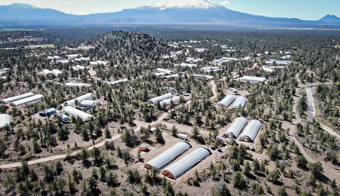 Roughly 5,000 greenhouses are being used to illegally cultivate marijuana in California's Siskiyou County, according to the county sheriff. (Courtesy of Siskiyou County Sheriff's Department)