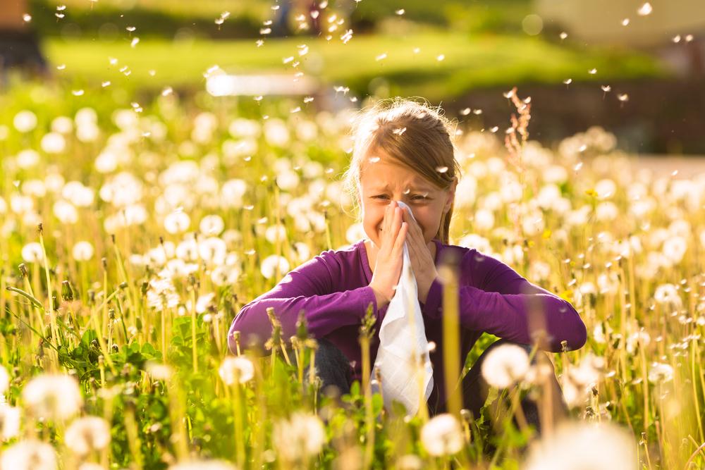 Nature’s Cure: 4 Natural Treatments for Allergy Relief