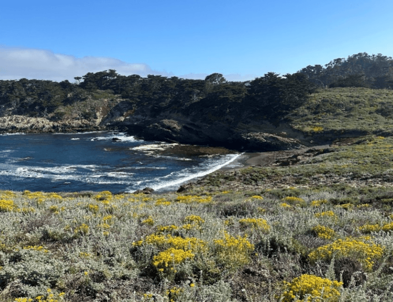 Point Lobos Sea Lion Point Trail, pictured June 14, 2024. (Summer Lane/The Epoch Times)