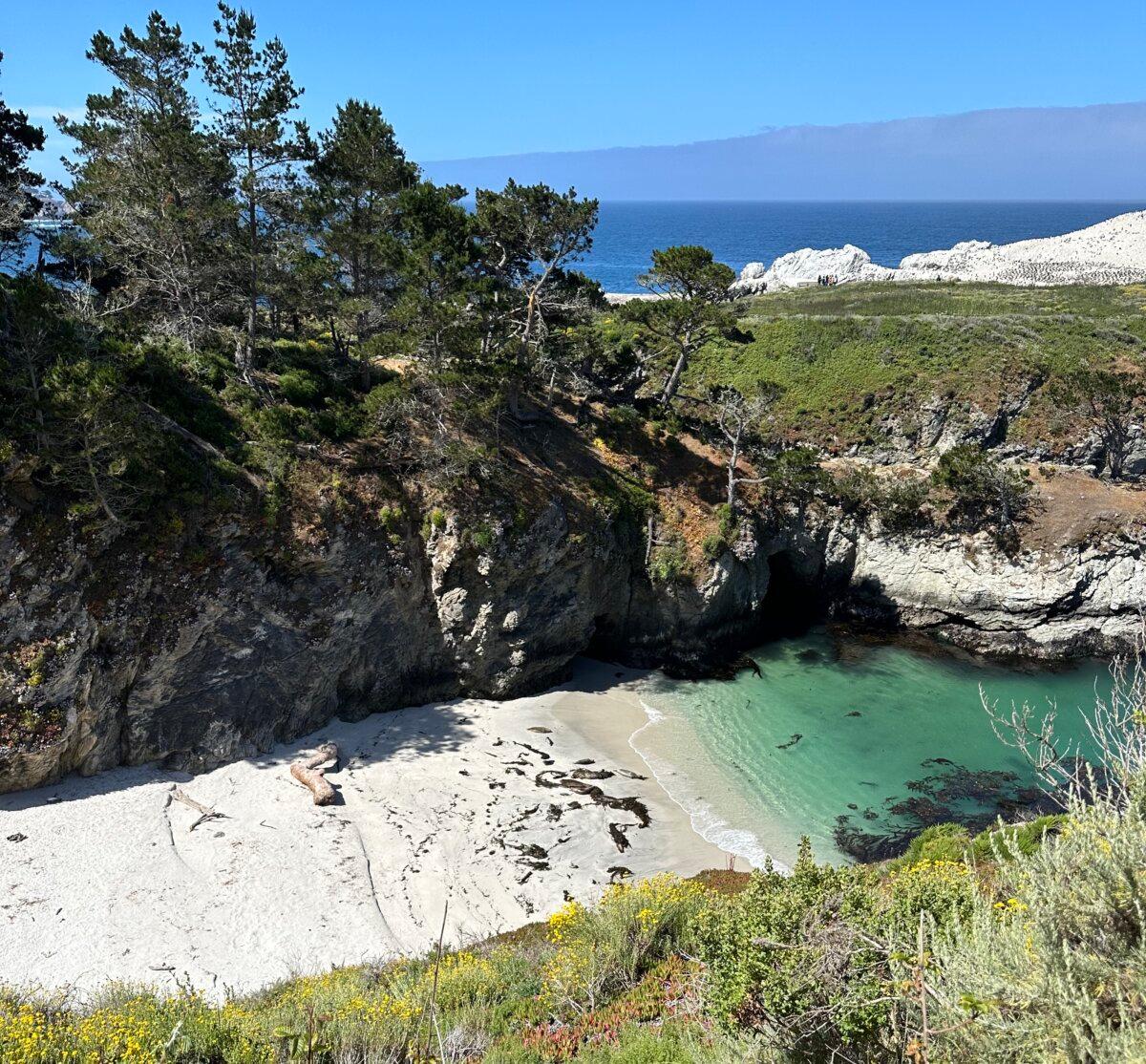 Point Lobos South Shore Trail with a view of Bird Island, pictured June 14, 2024. (Summer Lane/The Epoch Times)