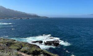 California Coastal Reserve Is a Treasure Trove of Ocean Views and Wildlife