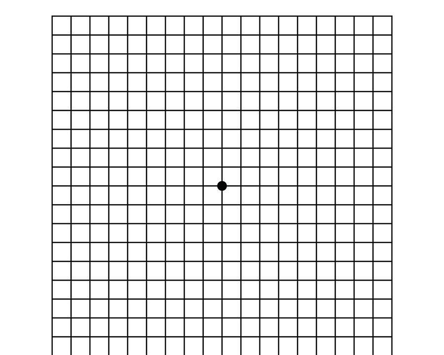 An Amsler grid can be used to monitor visual changes. If blank spots appear or the lines become warped-looking, it may indicate macular degeneration. (V_ctoria/Shutterstock)