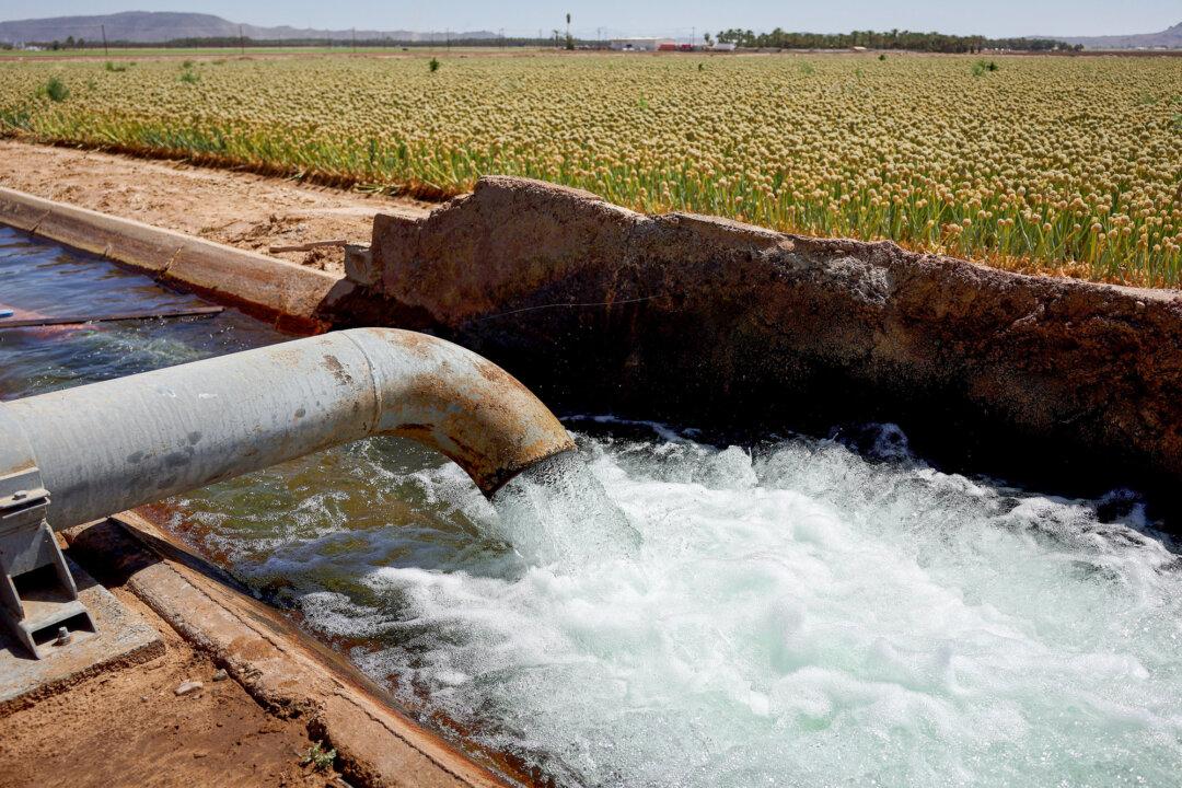 A groundwater pump supplies water to Quechan tribal land at the Fort Yuma Indian Reservation, along the long-depleted Colorado River, near Winterhaven, Calif., on May 26, 2023. (Mario Tama/Getty Images)