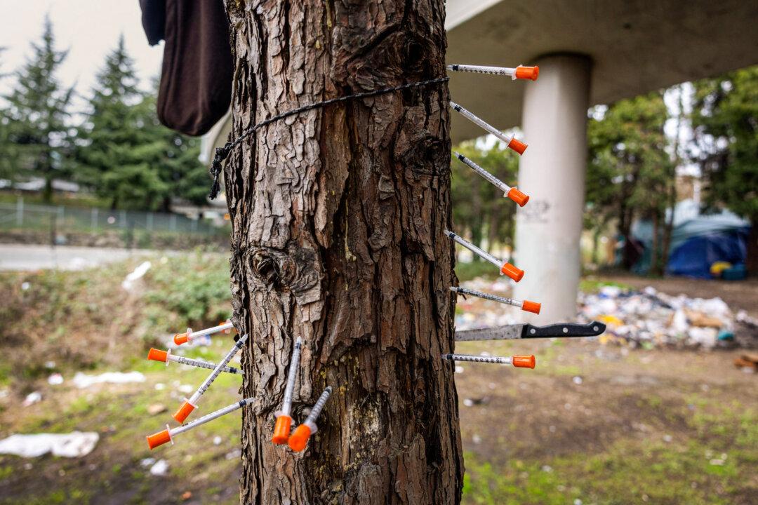 (Top) A pipe used for drugs lays near a homeless encampment in Lancaster, Calif., on July 10, 2024. (Bottom) Used heroin syringes are stuck in a tree at a homeless encampment in Seattle on March 13, 2022. (John Fredricks/The Epoch Times, John Moore/Getty Images)