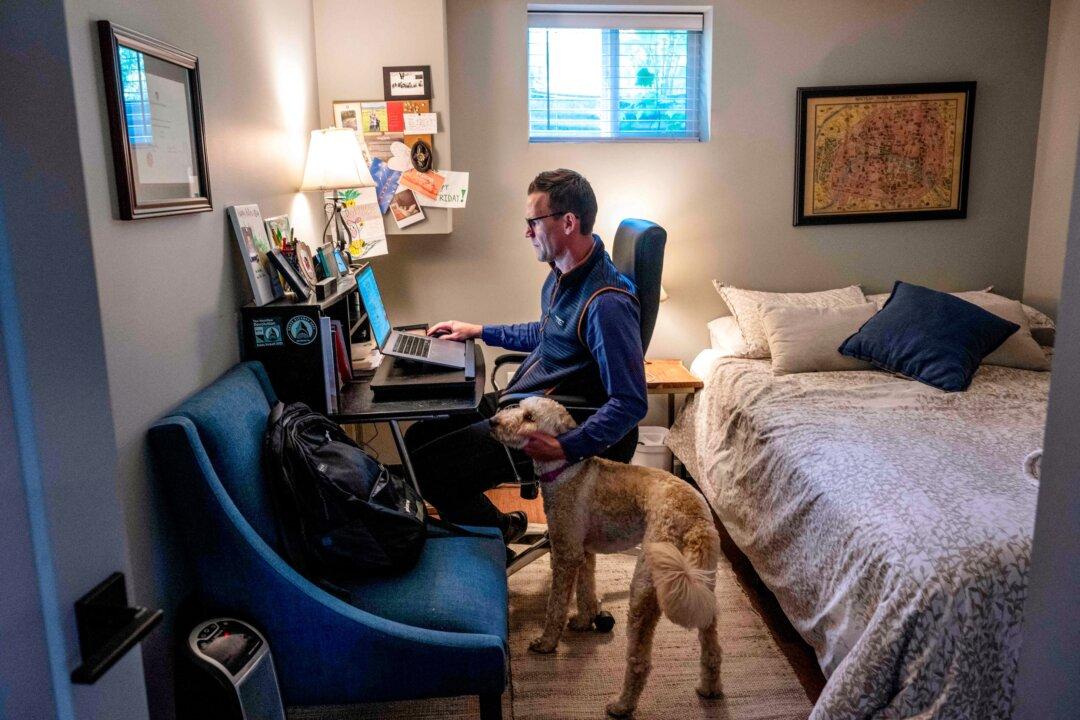 A man pets his dog as he sits in his basement working from home in Arlington, Va., on May 25, 2023. (Andrew Caballero-Reynolds/AFP via Getty Images)