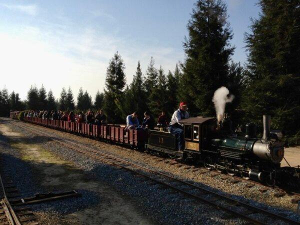 Visitors ride the steam train during Christmas tree season at Hillcrest Farm in Reedley, Calif. (Courtesy of Sean and Melissa Bautista)