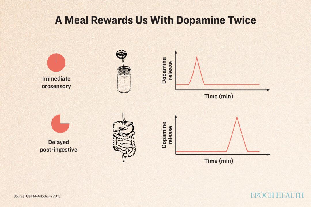 Thirteen adults were fed a milkshake or tasteless solution. In all cases and especially after drinking the flavored milkshakes, their brains released dopamine twice—once immediately after drinking, and again around 5 to 10 minutes after finishing the drink. (Illustration by The Epoch Times, Shutterstock)