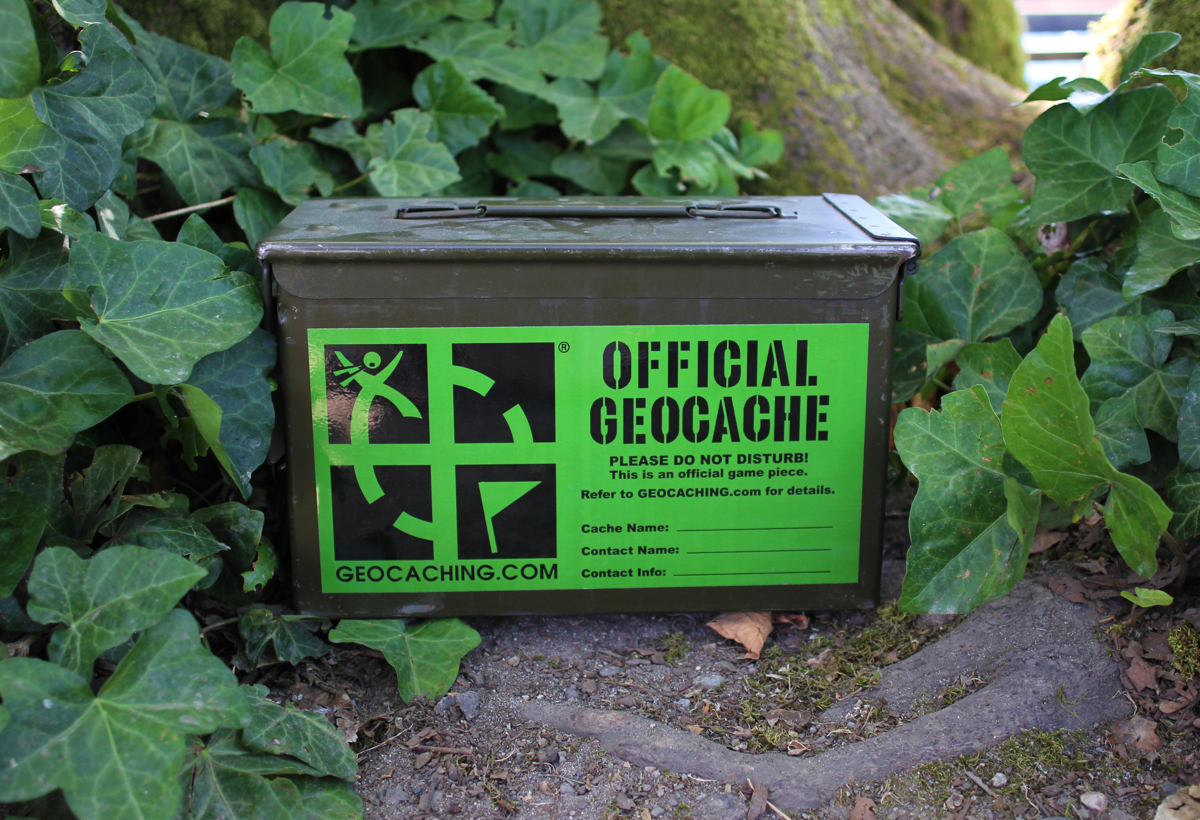 Geocaching: The Treasure Hunt Happening Right Outside Your Door