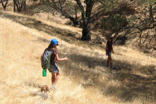 Children geocaching. (Courtesy of Dave & Daniela Rinard)