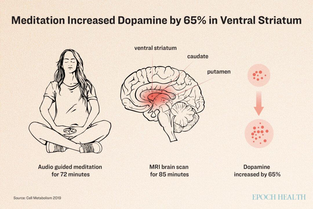 Healthy male meditation teachers' brains were scanned twice, once while meditating and once not. The results showed a 65 percent increase in dopamine levels in the ventral striatum while they were meditating. The dopamine levels in the caudate and putamen areas of the brain also increased. (Illustration by The Epoch Times, Shutterstock)