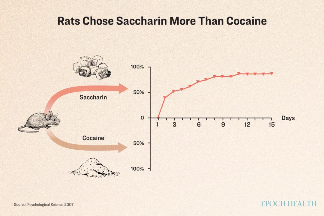 Rats were offered two types of rewards—cocaine and saccharin-sweetened water—each delivered by the rats pressing a lever. Starting from day 2, rats chose sweetened water over cocaine. Eventually, 94% of the rats chose saccharin. (Illustration by The Epoch Times, Shutterstock)