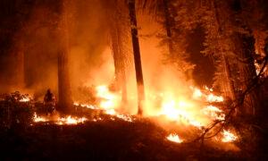 Video: Firefighters Battle Reawakened Park Fire Blaze in Northern California