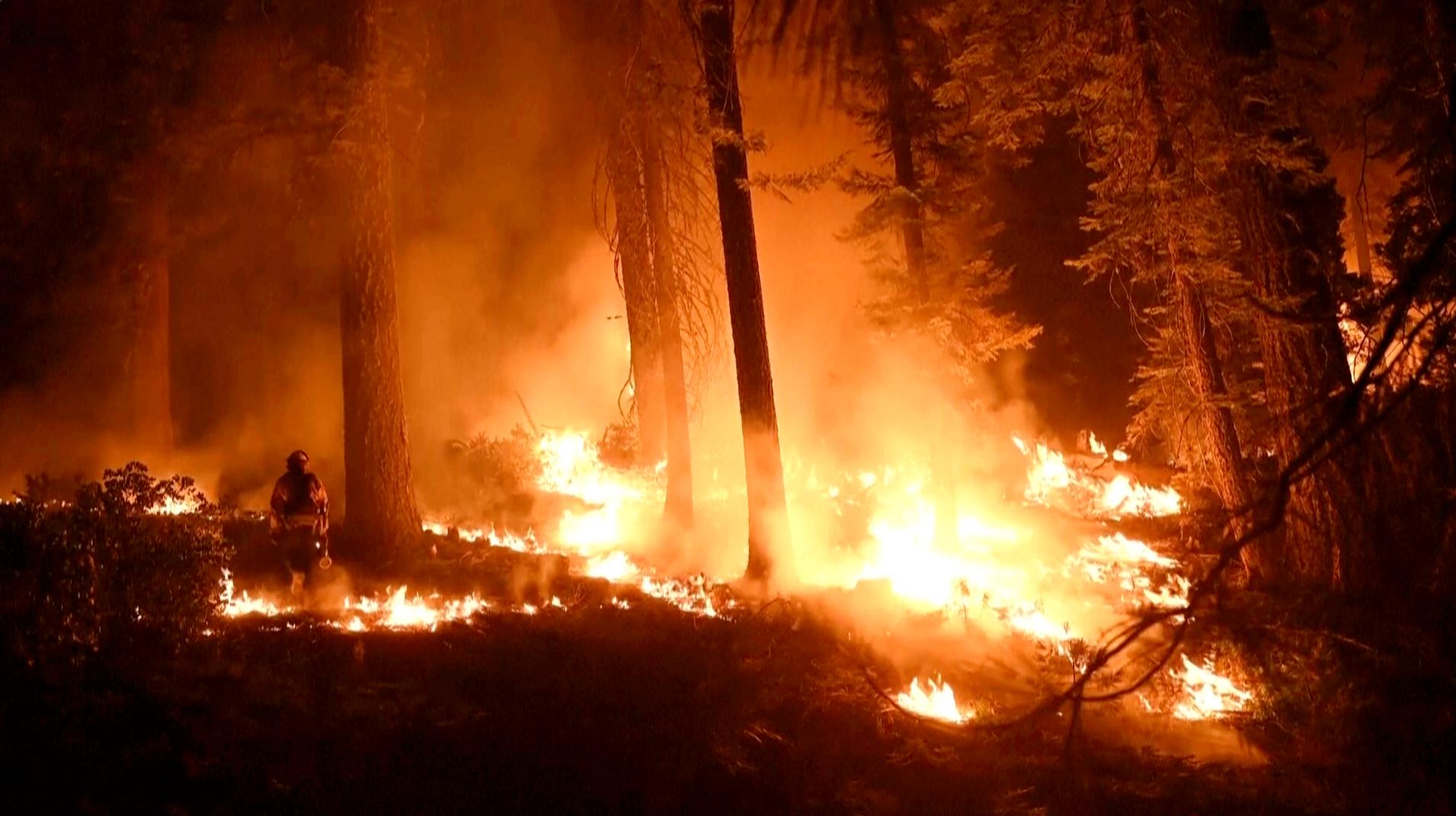 Video: Firefighters Battle Reawakened Park Fire Blaze in Northern California