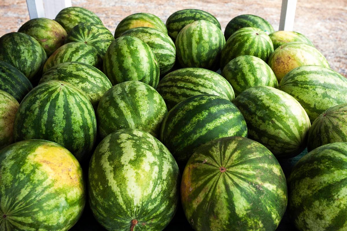 Look for a creamy yellow spot on the outside of the watermelon, a sign it was allowed to fully ripen before harvest. (Joe_Potato/Getty Images)