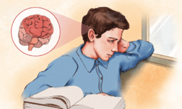 ADHD: Symptoms, Causes, Treatments, and Natural Approaches