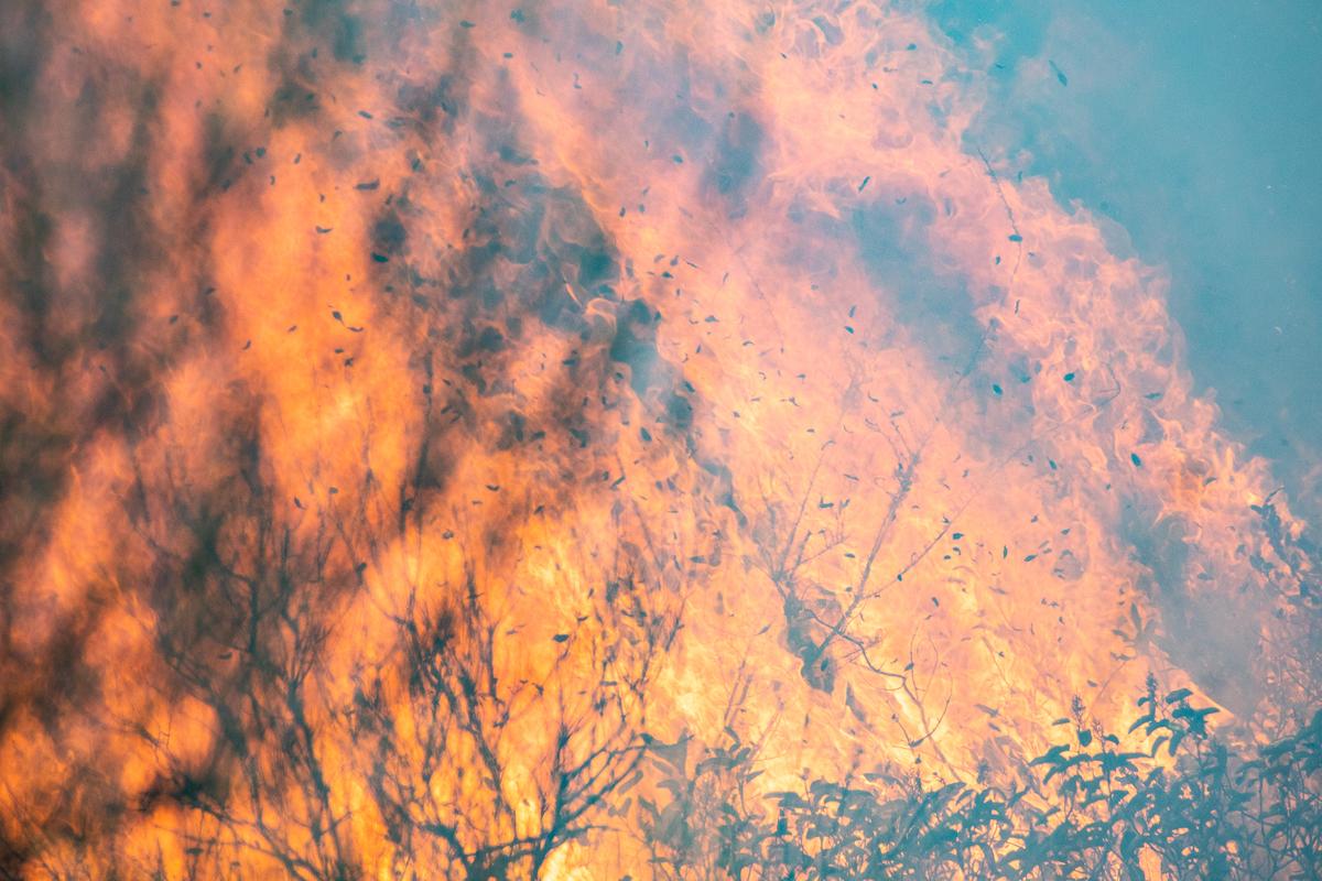 The Bond fire, burning in Silverado Canyon, Calif., on Dec. 3, 2020. (John Fredricks/The Epoch Times)