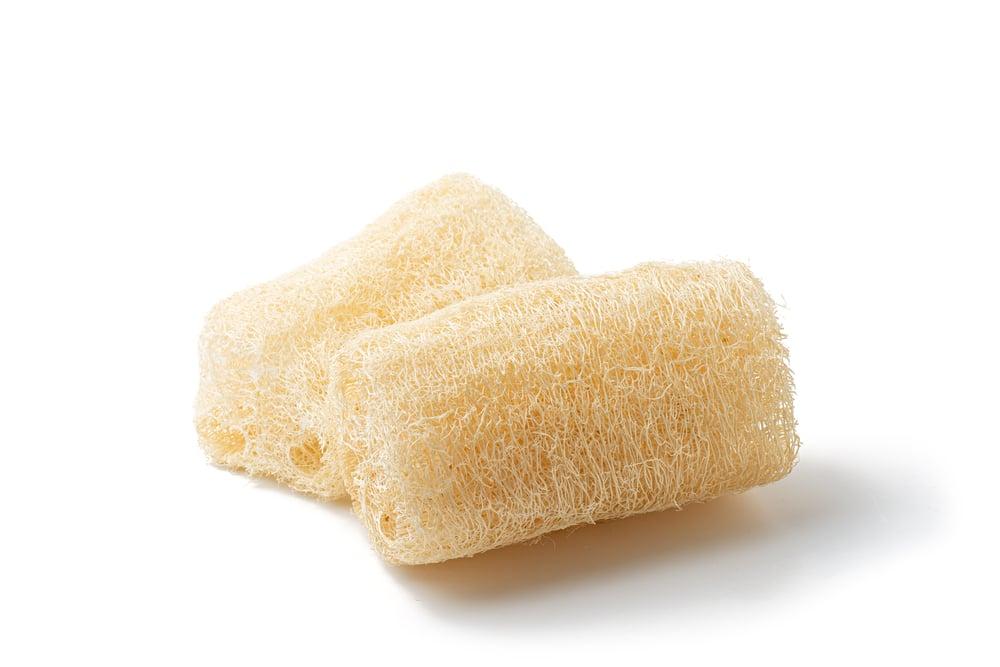 Sponge gourd loofah. (Nuttapong/Shutterstock)