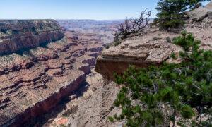 Grand Canyon National Park Halts Overnight Stays After Sole Pipeline Fails