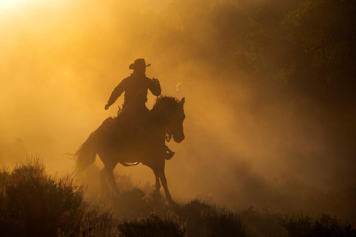 Wrangler rides through dust during a horse roundup at sunrise. (Maria Coulson)